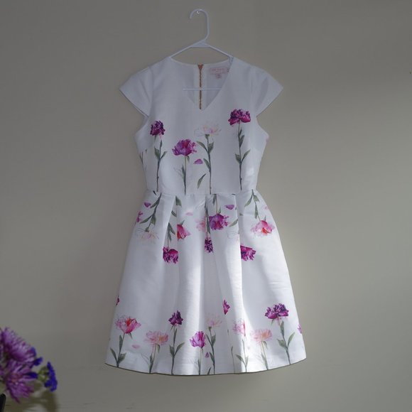 NEW Ted Baker Callila Fit and Fare Sketchbook Dress Ted 234 - Picture 5 of 13